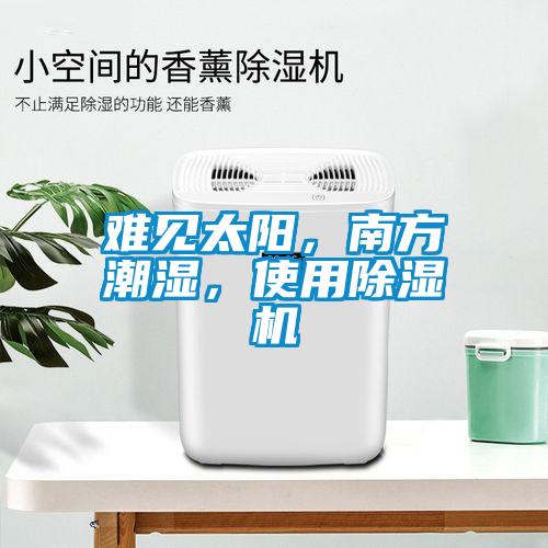 難見太陽，南方潮濕，使用除濕機(jī)
