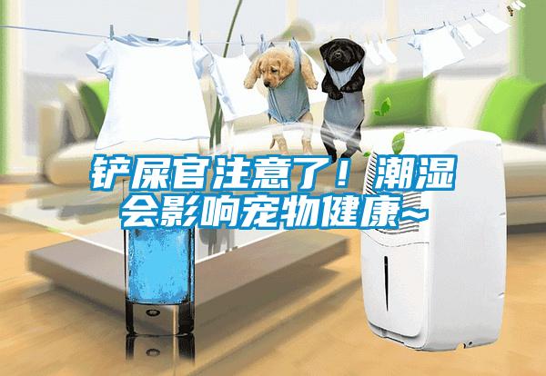 鏟屎官注意了！潮濕會影響寵物健康~