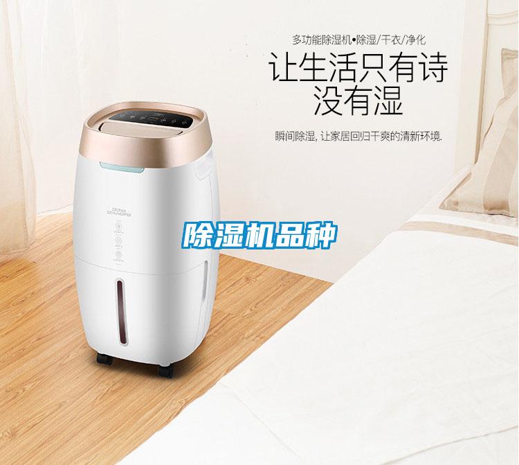 除濕機品種