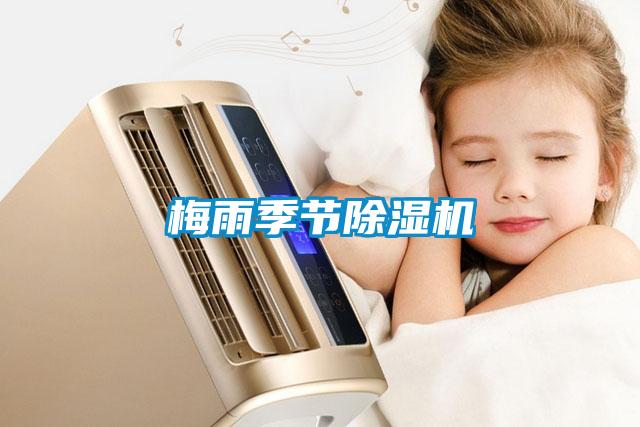 梅雨季節除濕機