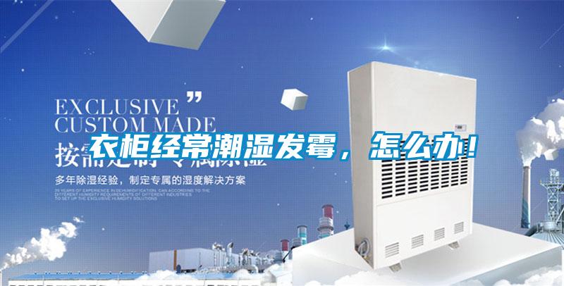 衣柜經常潮濕發霉，怎么辦！