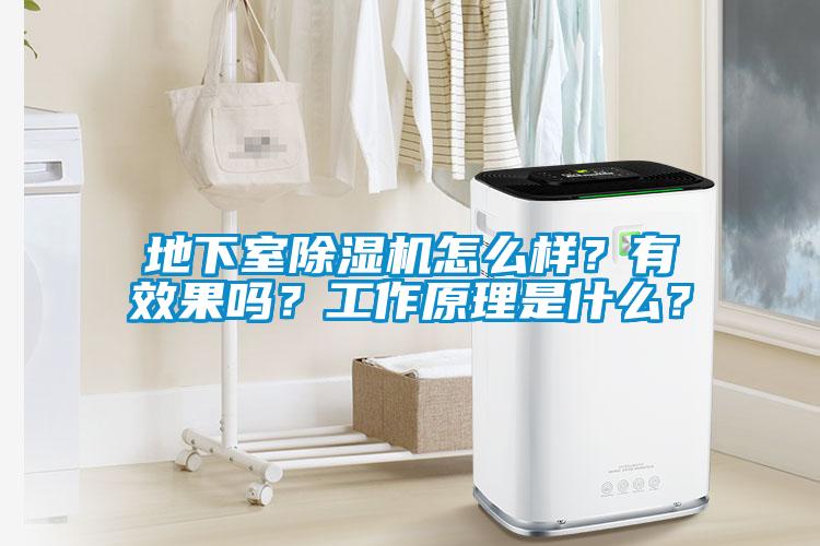地下室除濕機怎么樣？有效果嗎？工作原理是什么？