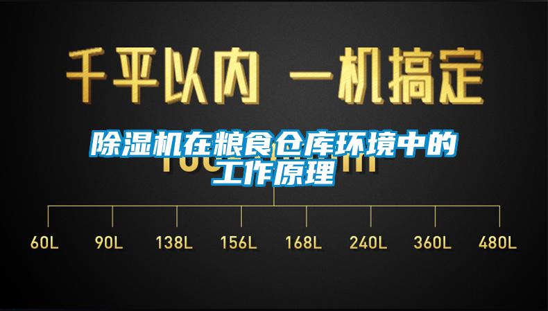除濕機在糧食倉庫環境中的工作原理