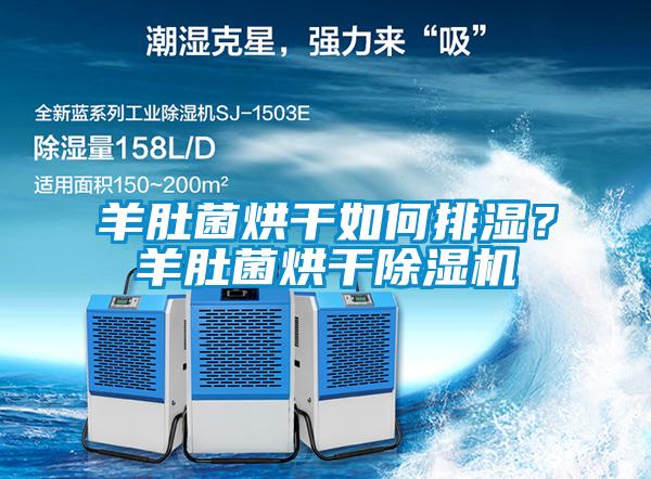 羊肚菌烘干如何排濕？羊肚菌烘干除濕機