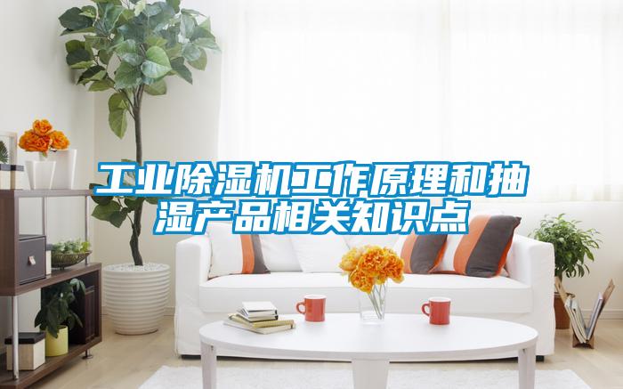 工業除濕機工作原理和抽濕產品相關知識點