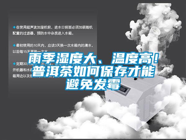 雨季濕度大、溫度高！普洱茶如何保存才能避免發(fā)霉
