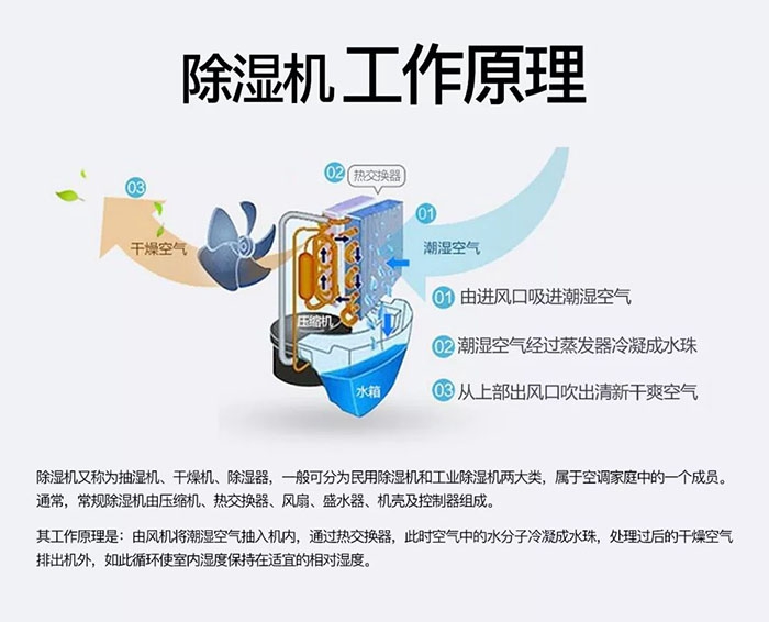 什么品牌除濕機好？買除濕機前先來看看