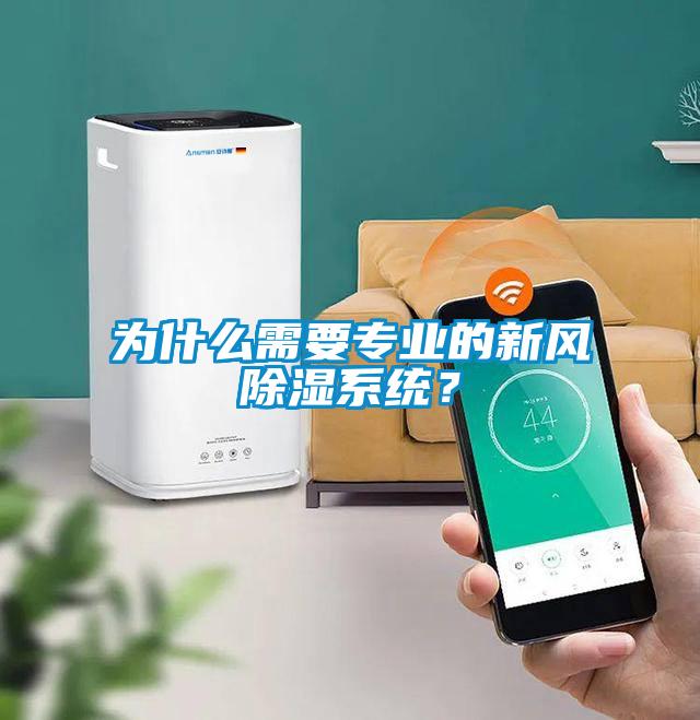 為什么需要專業(yè)的新風除濕系統(tǒng)？