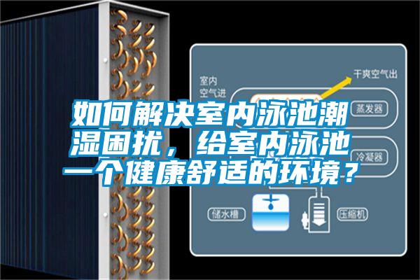 如何解決室內(nèi)泳池潮濕困擾，給室內(nèi)泳池一個(gè)健康舒適的環(huán)境？