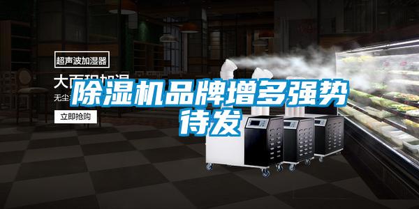 除濕機品牌增多強勢待發