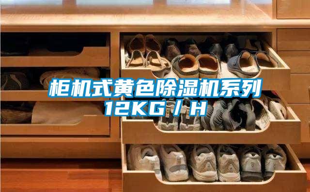 柜機式黃色除濕機系列12KG／H
