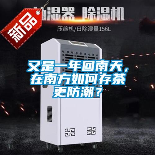 又是一年回南天，在南方如何存茶更防潮？