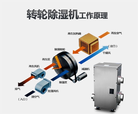 冷鏈運輸車如何消毒？電動噴霧消毒機