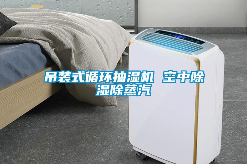 吊裝式循環抽濕機 空中除濕除蒸汽