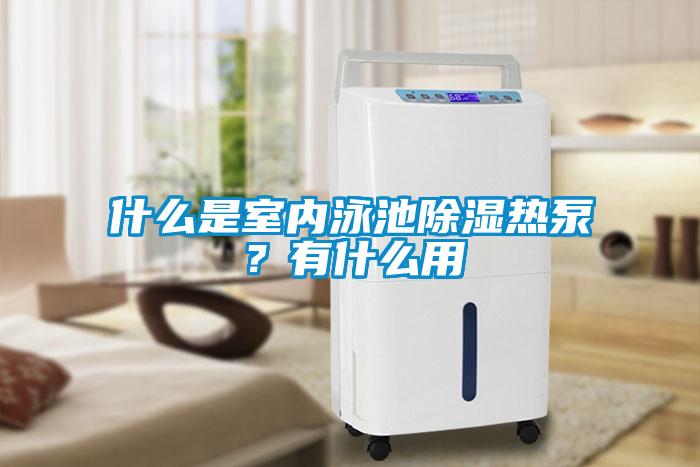 什么是室內泳池除濕熱泵？有什么用
