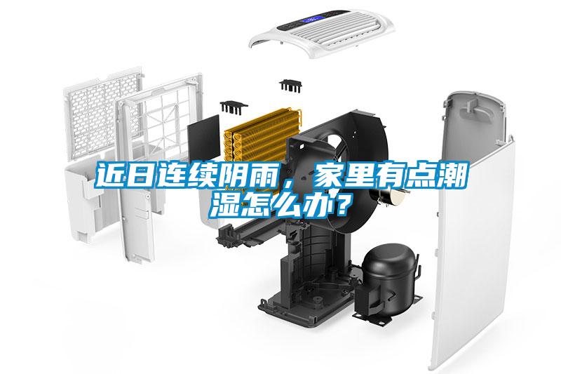 近日連續陰雨，家里有點潮濕怎么辦？