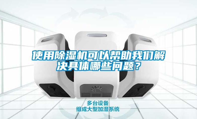 使用除濕機可以幫助我們解決具體哪些問題？