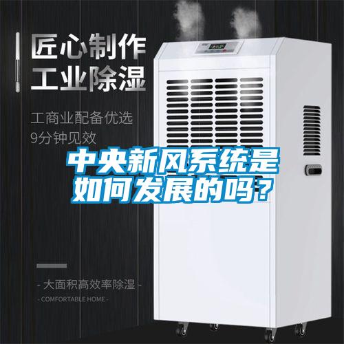 中央新風系統是如何發展的嗎？