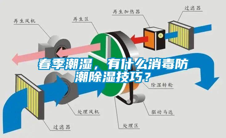 春季潮濕，有什么消毒防潮除濕技巧？