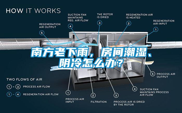 南方老下雨，房間潮濕、陰冷怎么辦？