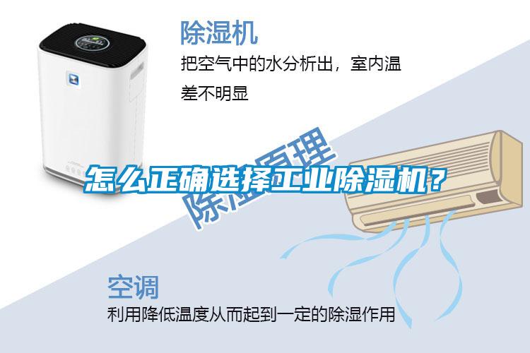 怎么正確選擇工業(yè)除濕機？