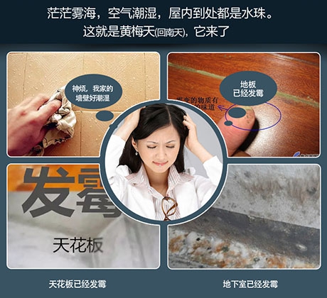 除濕機除濕效率怎么看才正確？