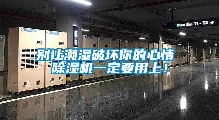 別讓潮濕破壞你的心情 除濕機一定要用上！