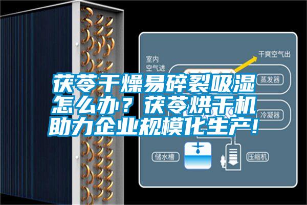 茯苓干燥易碎裂吸濕怎么辦？茯苓烘干機助力企業規模化生產!