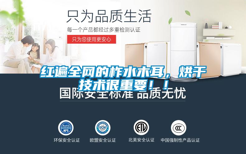 紅遍全網(wǎng)的柞水木耳，烘干技術(shù)很重要??！