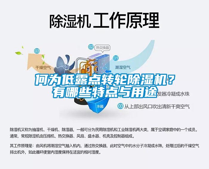 何為低露點轉輪除濕機？有哪些特點與用途