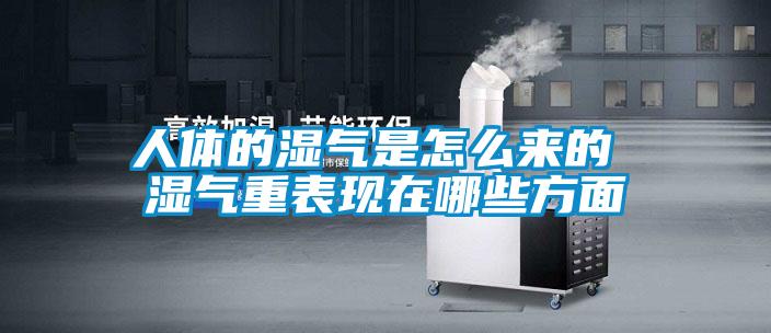 人體的濕氣是怎么來的 濕氣重表現在哪些方面