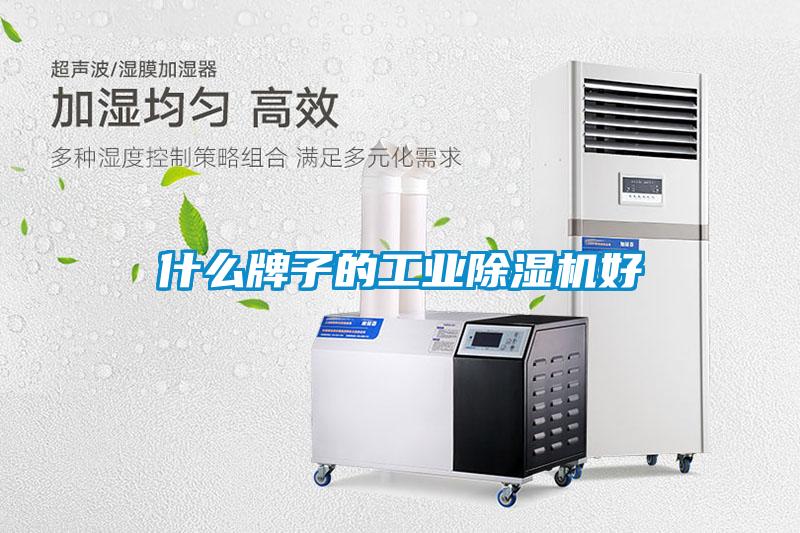 什么牌子的工業除濕機好