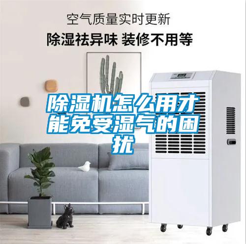 除濕機怎么用才能免受濕氣的困擾
