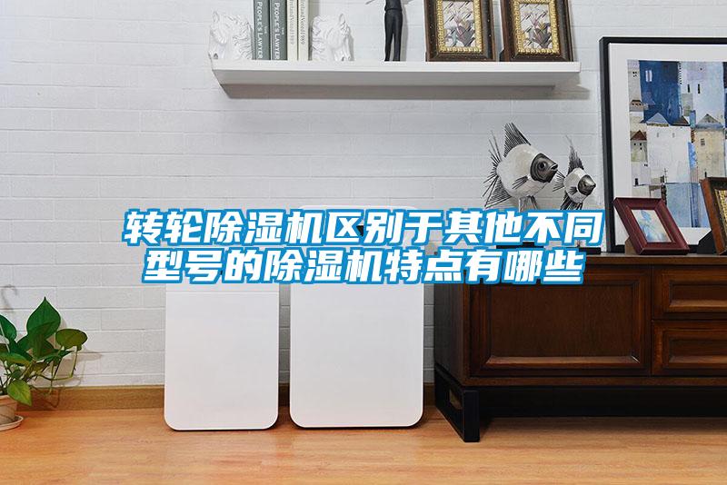 轉輪除濕機區別于其他不同型號的除濕機特點有哪些