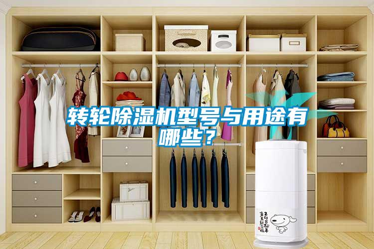 轉輪除濕機型號與用途有哪些？