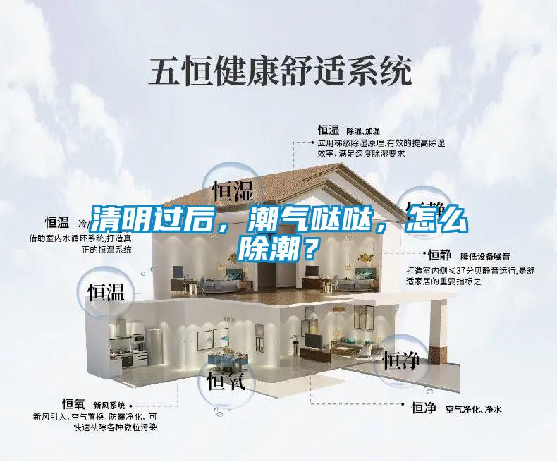 清明過后，潮氣噠噠，怎么除潮？