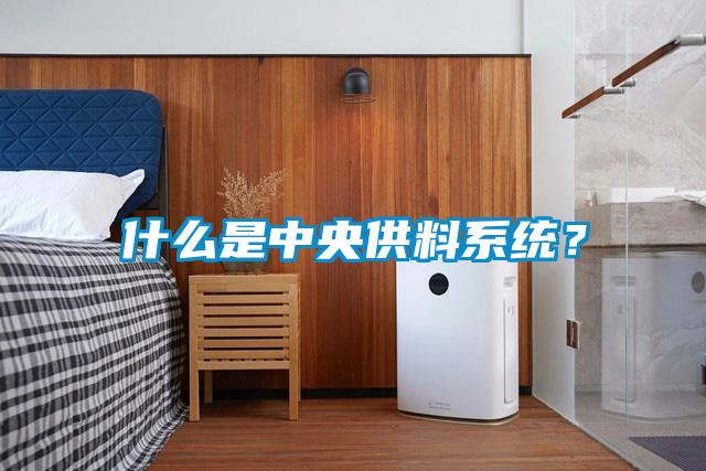 什么是中央供料系統？