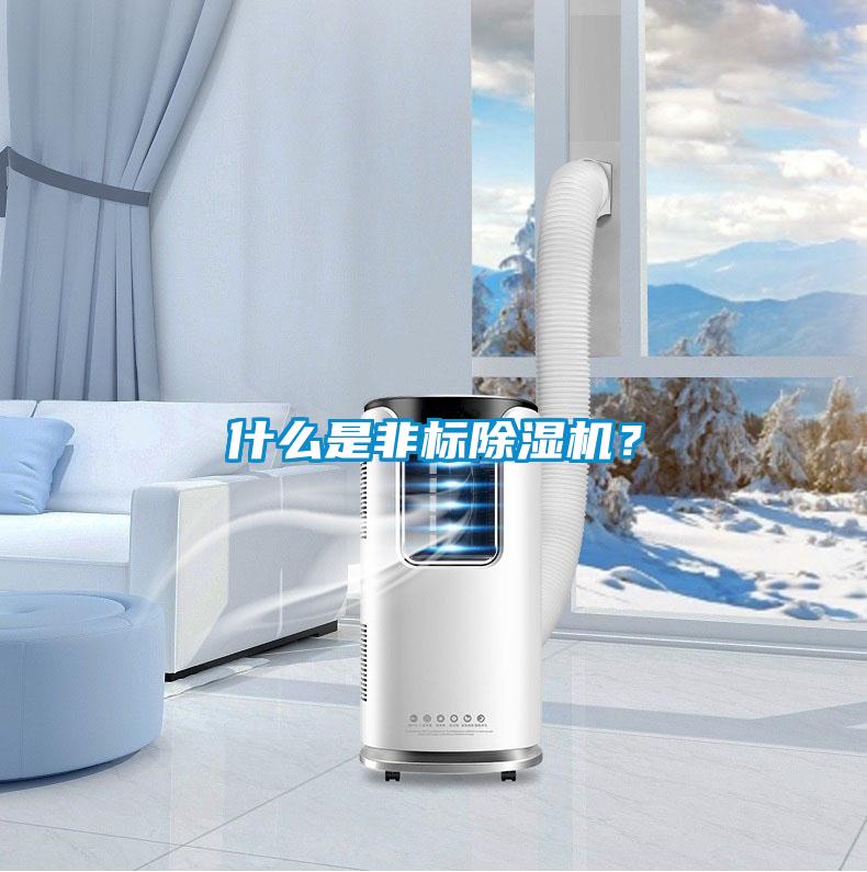 什么是非標除濕機？
