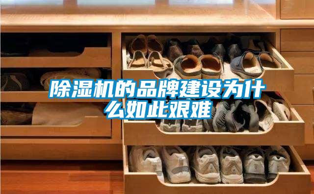 除濕機(jī)的品牌建設(shè)為什么如此艱難