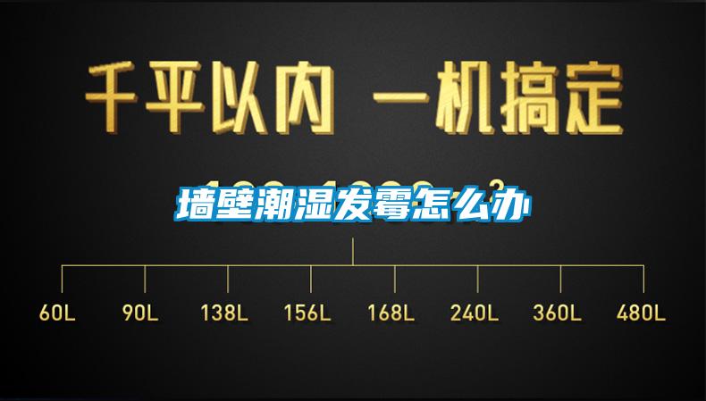 墻壁潮濕發霉怎么辦