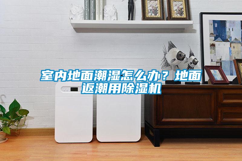 室內地面潮濕怎么辦？地面返潮用除濕機