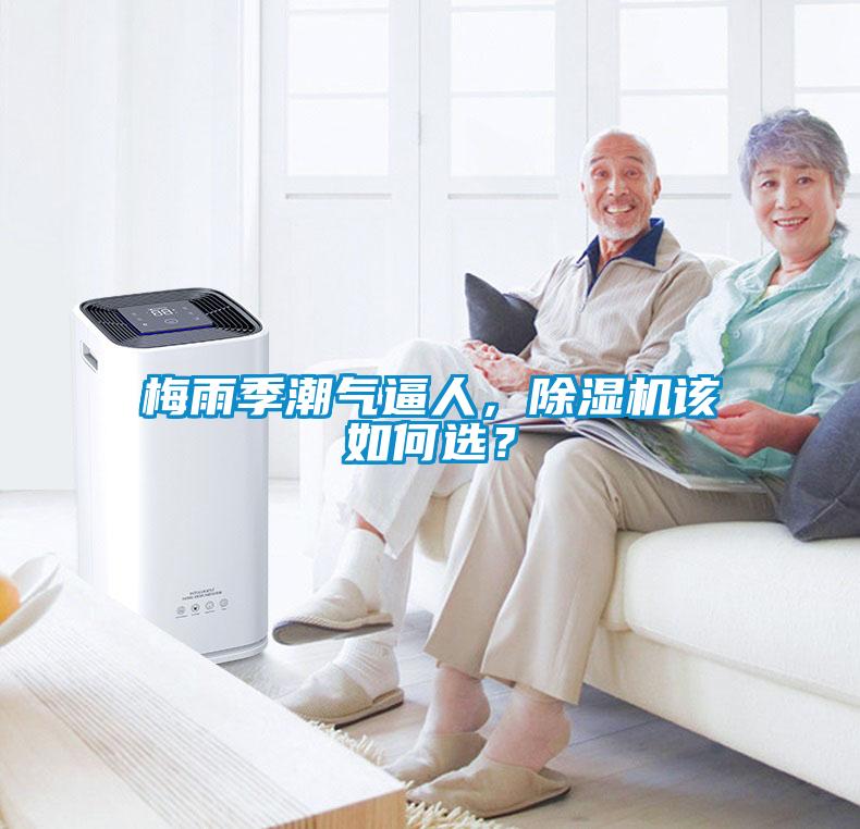 梅雨季潮氣逼人，除濕機該如何選？