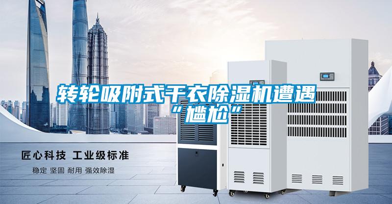 轉(zhuǎn)輪吸附式干衣除濕機(jī)遭遇“尷尬”