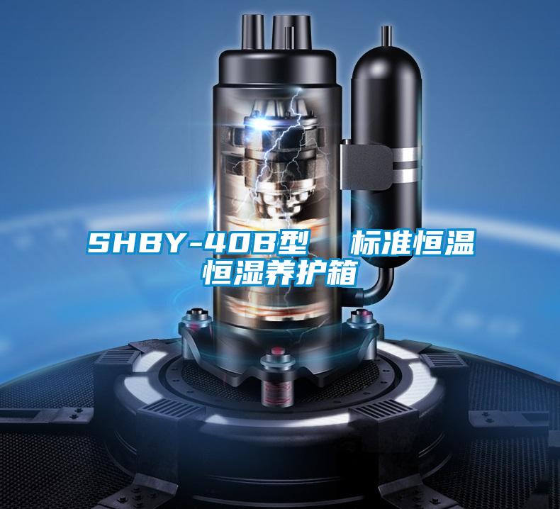 SHBY-40B型  標準恒溫恒濕養護箱