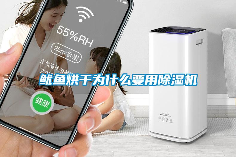 魷魚烘干為什么要用除濕機(jī)