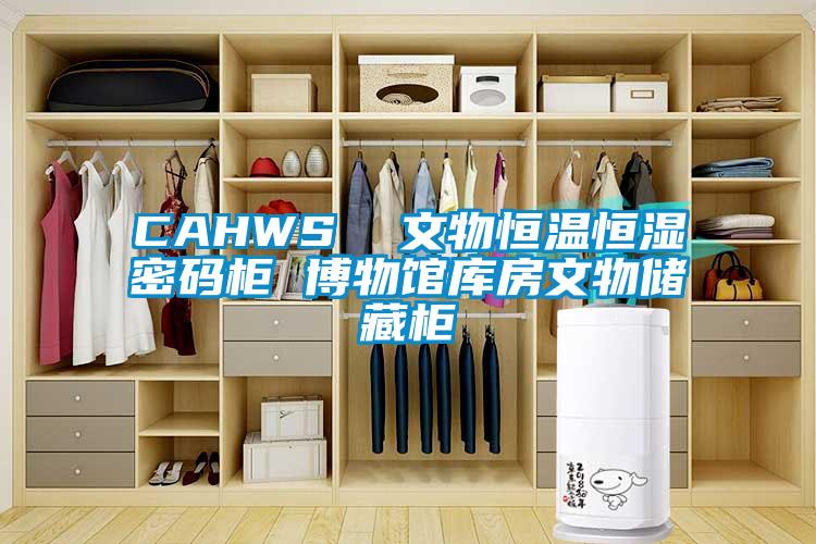 CAHWS  文物恒溫恒濕密碼柜 博物館庫(kù)房文物儲(chǔ)藏柜