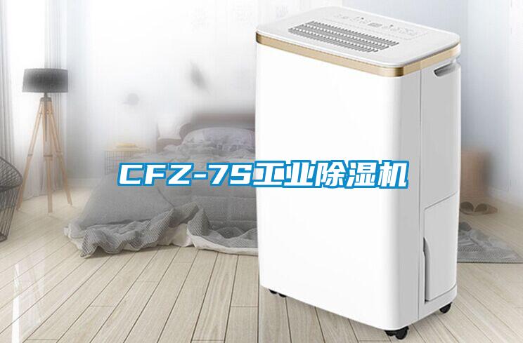 CFZ-7S工業(yè)除濕機(jī)