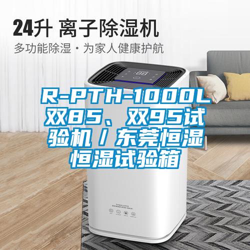R-PTH-1000L雙85、雙95試驗機／東莞恒濕恒濕試驗箱