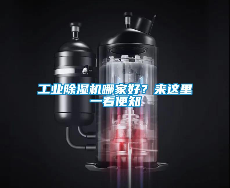 工業(yè)除濕機(jī)哪家好？來這里一看便知