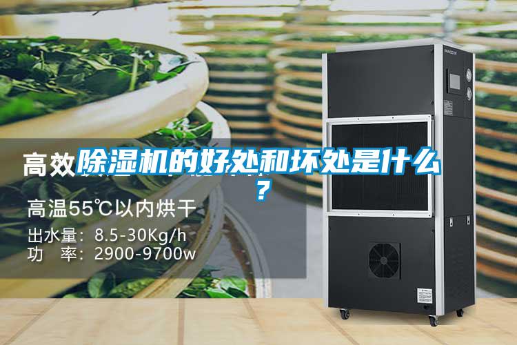 除濕機(jī)的好處和壞處是什么？